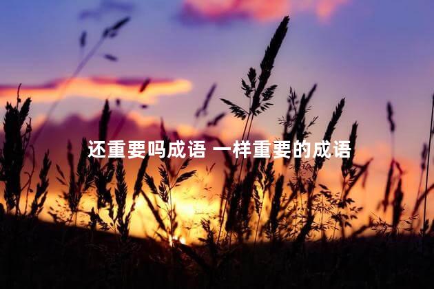 还重要吗成语 一样重要的成语